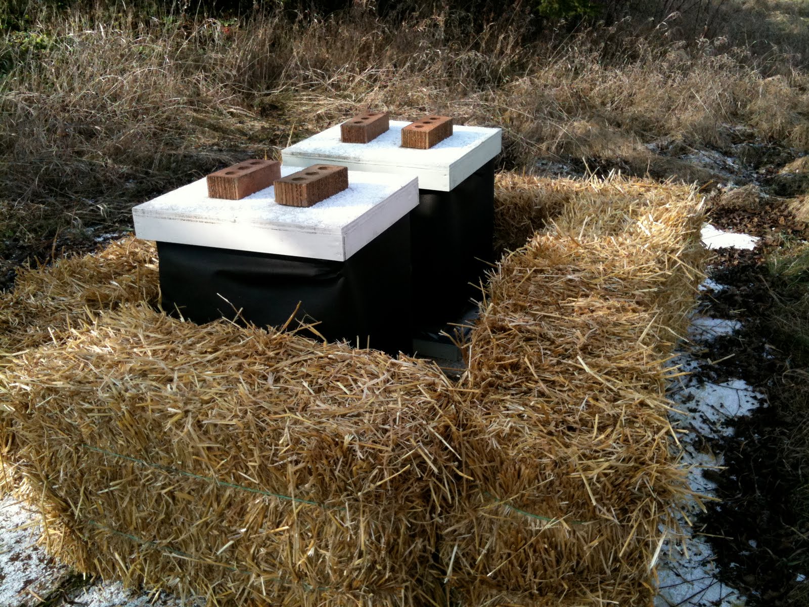 keeping the hives warm