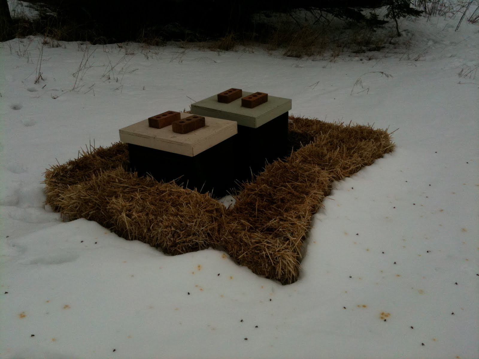 beehives