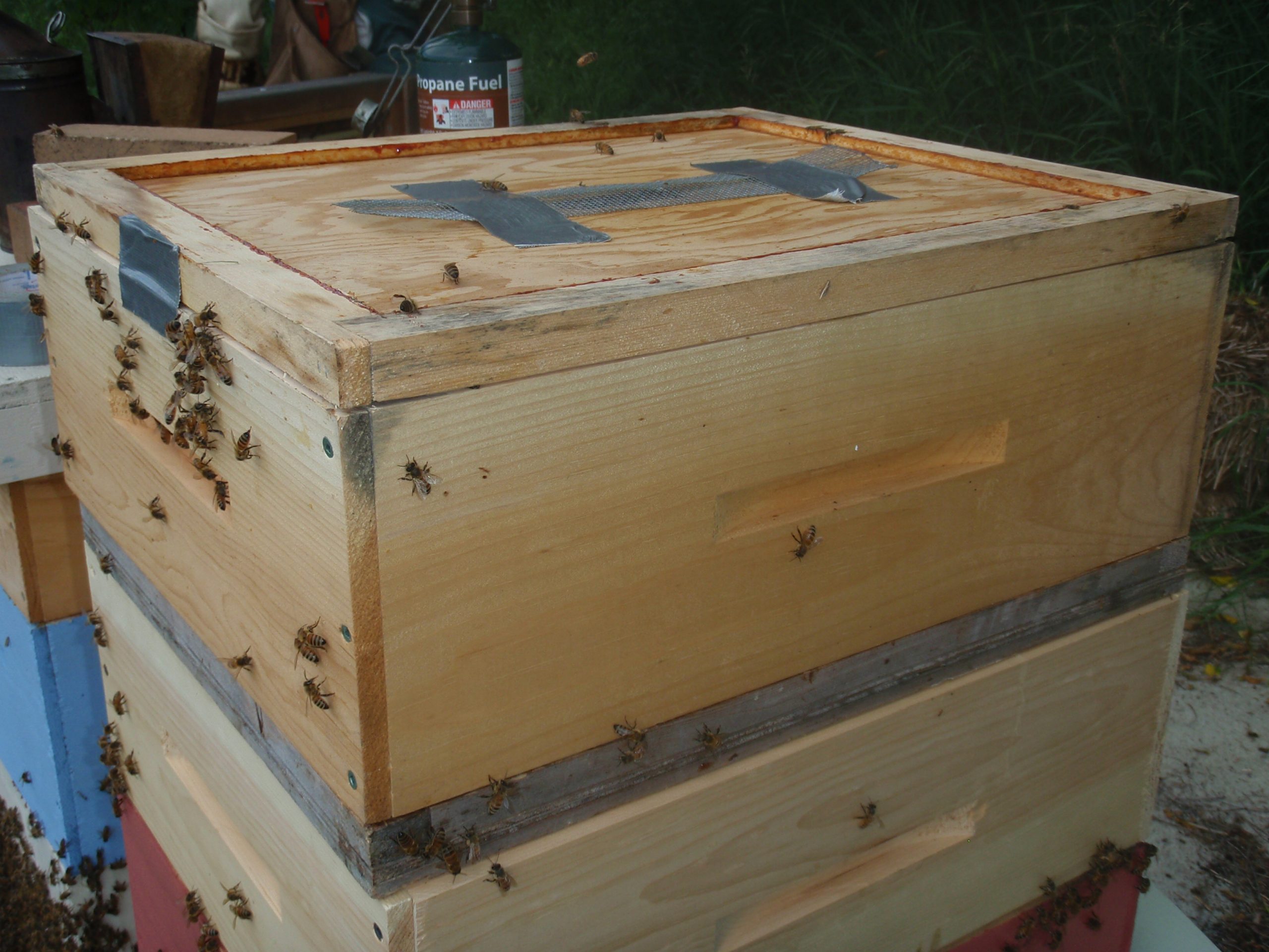 bee super